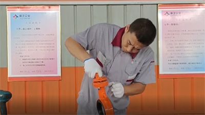 Сборка рукоятки межфланцевого дискового затвора (Wafer)